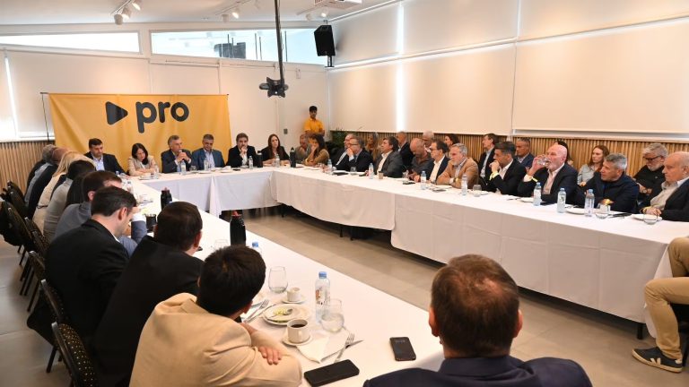 imgi_48_consejo-nacional-del-pro-encabezado-por-mauricio-macri-y-con-representantes-de-todo-el-pais-foto-pro-G4GZ