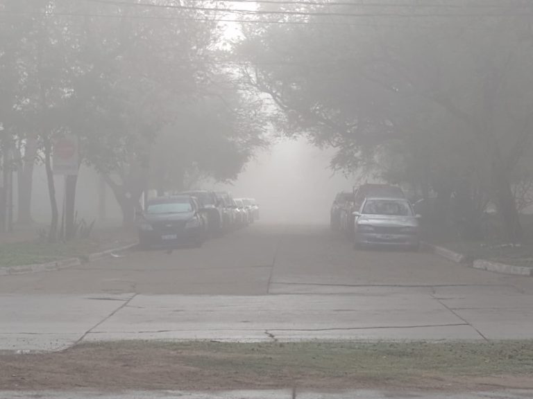neblina 1