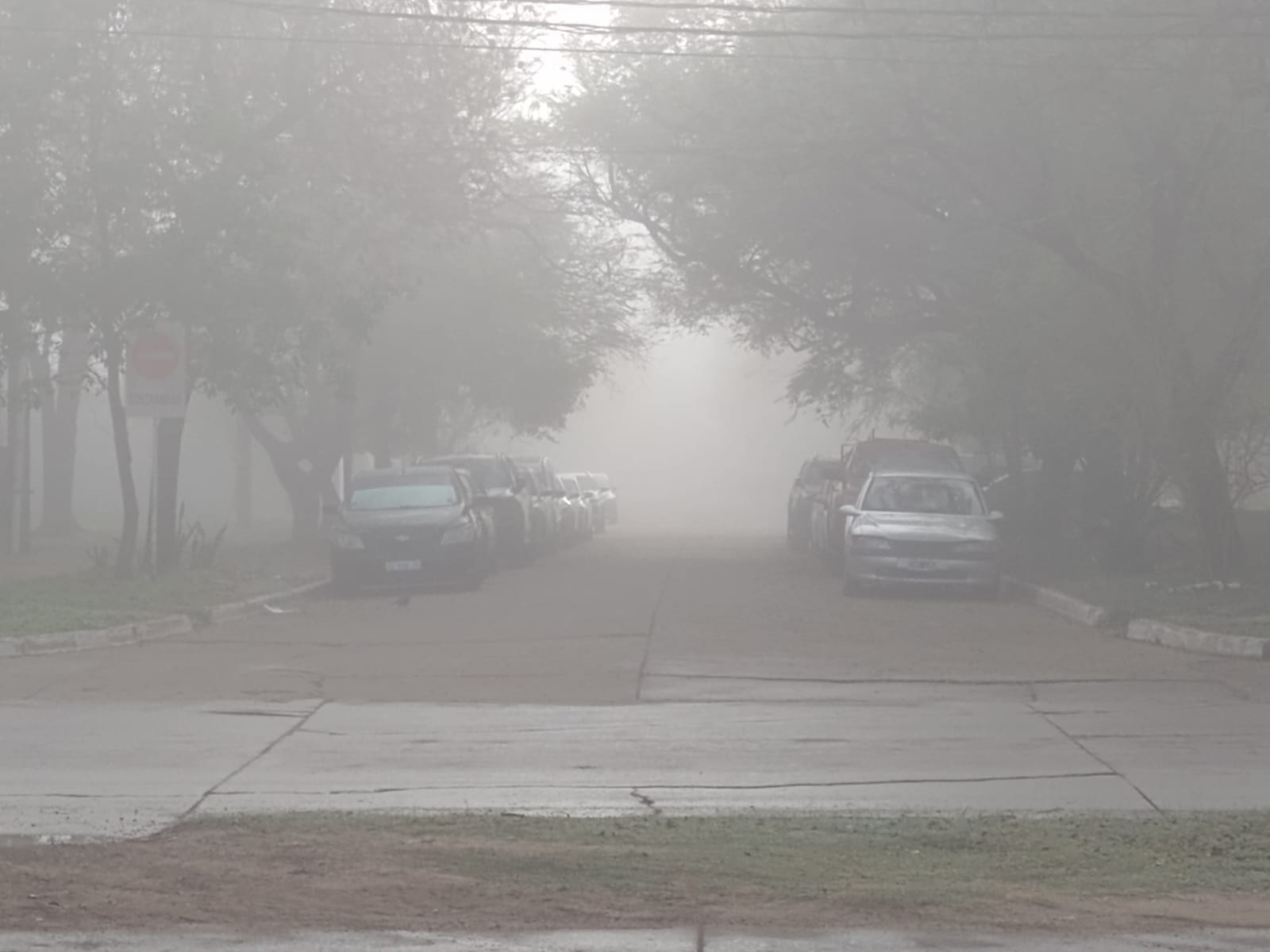 neblina 1